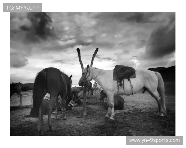 逆境之中的光芒：那些闪耀的“黑马”！